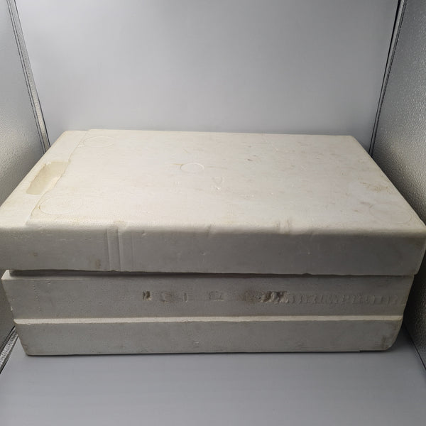 NES DELUXE SET CONSOLE & ROB THE ROBOT