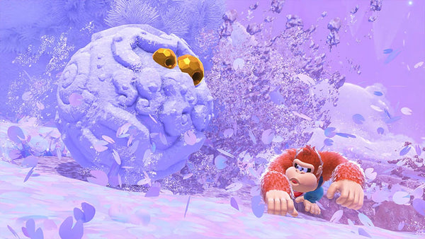 DONKEY KONG BANANZA SWITCH 2