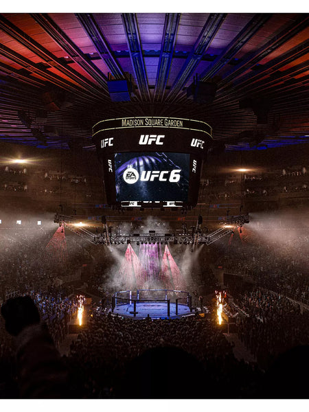 UFC 6 PS5