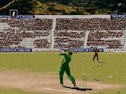 BRIAN LARA CRICKET PS1