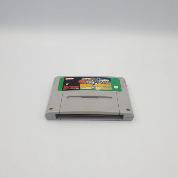 SUPER INTERNATIONAL CRICKET SNES