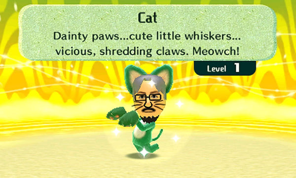 MIITOPIA NINTENDO 3DS