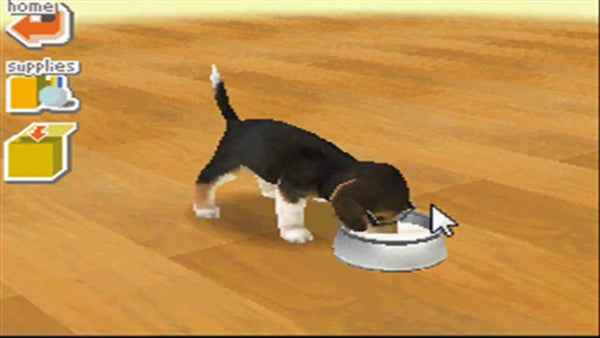 NINTENDOGS  DACHSHUNDS AND FRIENDS