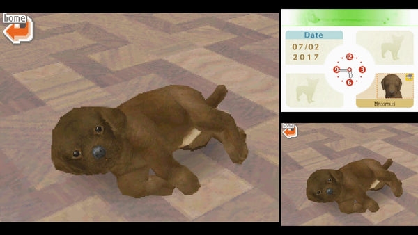 NINTENDOGS LABORDOR & FRIENDS  NINTENDO DS